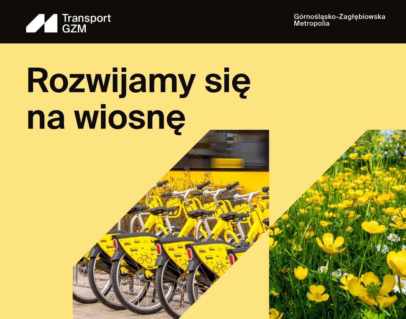 Od 1 marca w Transport GZM nowe możliwości. Zmiany na Metrobilety