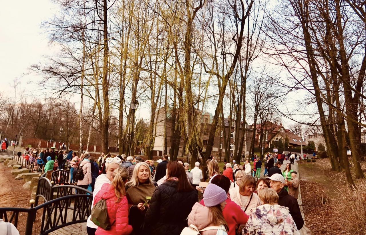Mikołowskie Święto Wiosny 12