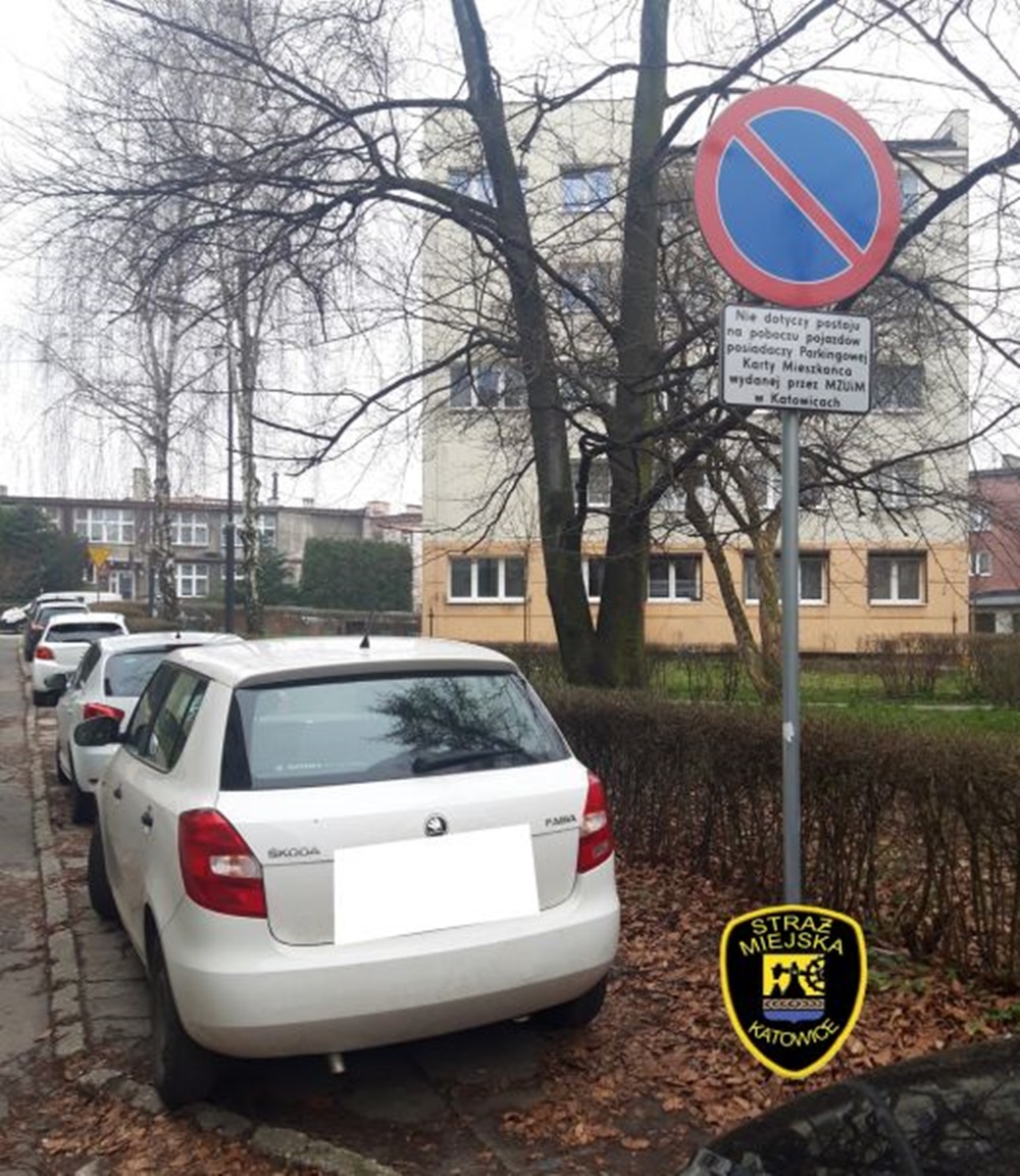 "Mistrzowie" parkowania w akcji. Katowicka Straż Miejska podsumowała luty