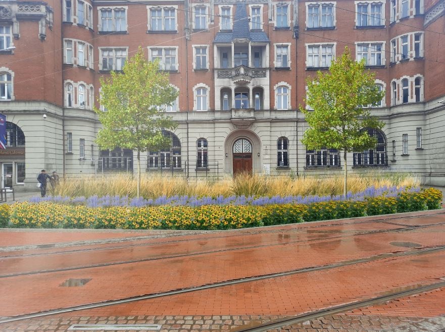 Katowice: Jeszcze w tym roku powstaną zielone przystanki mierzące jakość powietrza