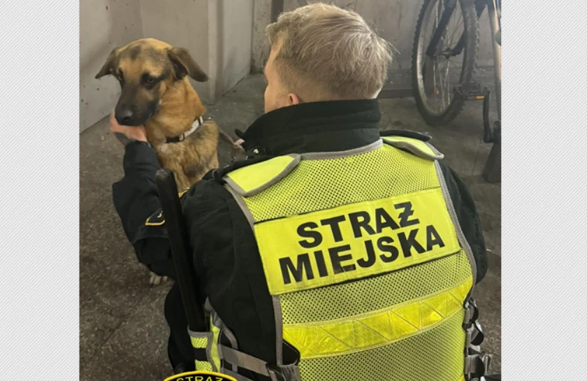 Zachowanie młodej kobiety z psem zaalarmowało świadka. Interwencja Strażników Miejskich