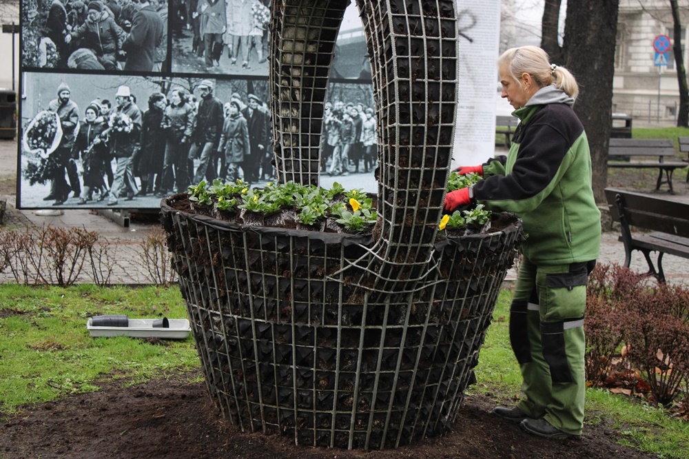 Trwa zazielenianie Katowic. Przed nami nasadzenia 20 tys. bratków