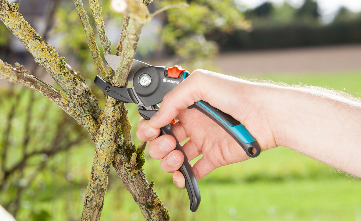 Pielęgnacja drzew i krzewów z sekatorami i nożycami ogrodowymi Gardena