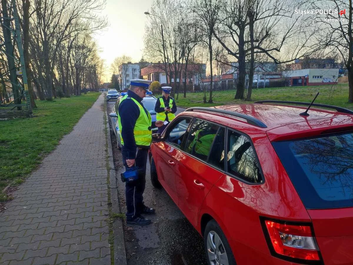 Podsumowali działania "Bezpieczny pieszy": ukarano 142 kierujących mandatami karnymi