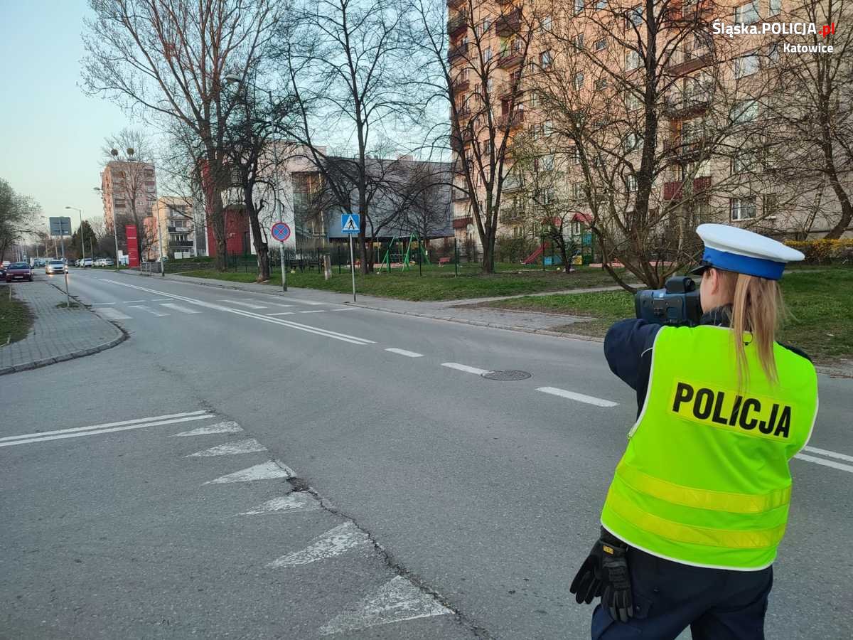 Podsumowali działania "Bezpieczny pieszy": ukarano 142 kierujących mandatami karnymi