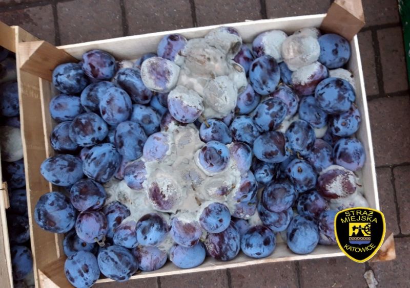 Warzywa i owoce niewiadomego pochodzenia. Straż Miejska wstrzymuje nielegalny handel