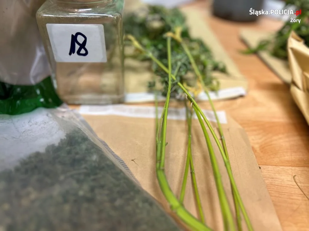 Palił skręta w samochodzie. Żorscy policjanci zatrzymali kierowcę z narkotykami