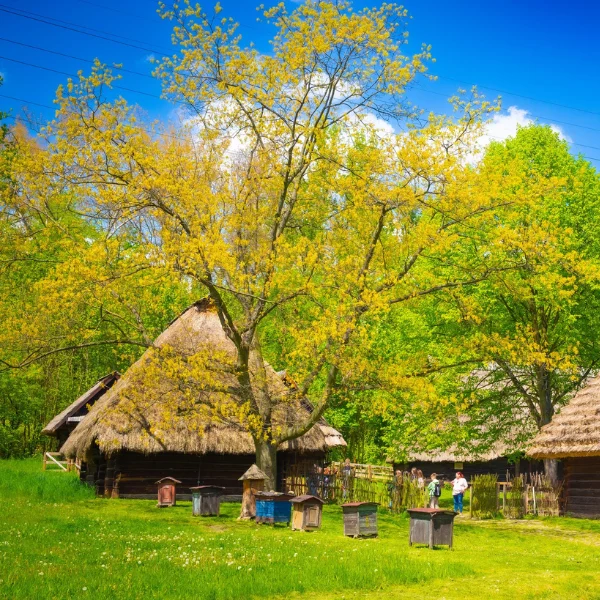 Chorzowski skansen otrzymał dofinansowanie na organizacje jubileuszowej wystawy!