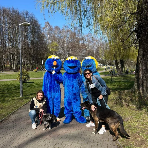 „Szczęśliwy spacer z czworonogami” za nami! Zobacz zdjęcia!