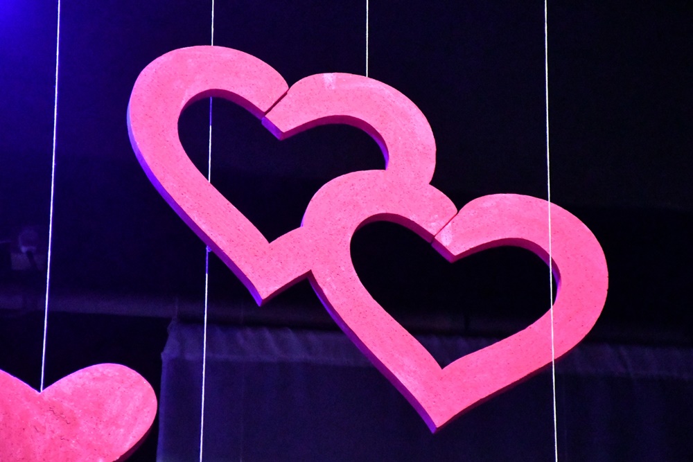 Koncert charytatywny "Serdeczne Nuty" 6