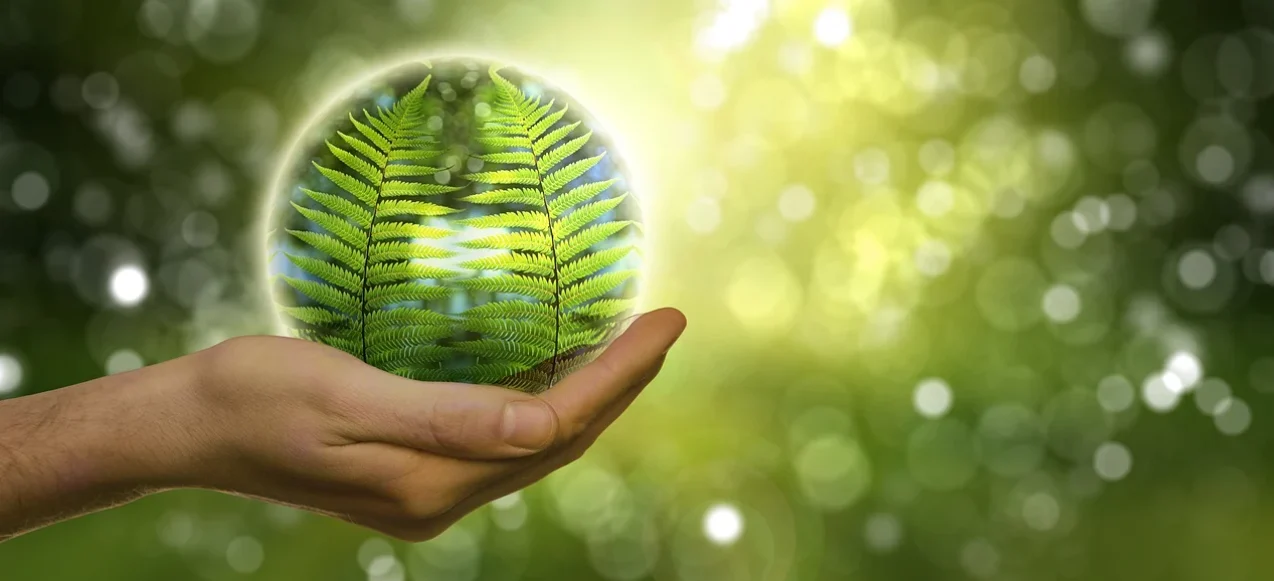 Spotkanie z ekodoradcą w Świętochłowicach. Sprawdź termin!