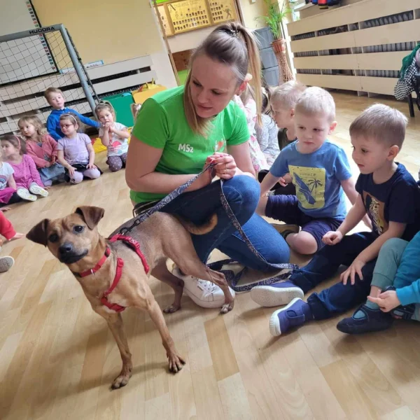 Psi edukator Leoś odwiedził Przedszkole nr 49 w Zabrzu