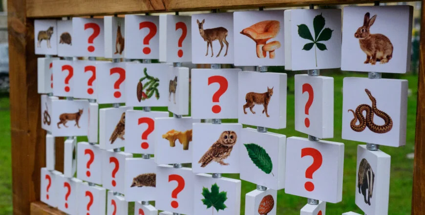 Dzieci zyskały "Magiczny EKO Zakątek" [FOTO]