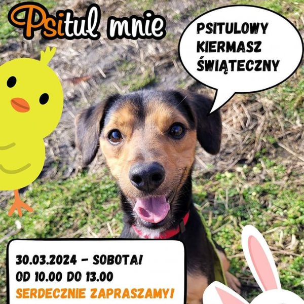 Pierwszy Psitulowy Kiermasz Świąteczny już w sobotę!