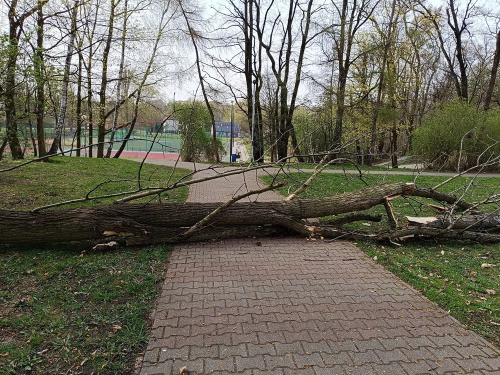 Efekty wichury w niedzielę wielkanocną. Doszło do uszkodzeń samochodów!