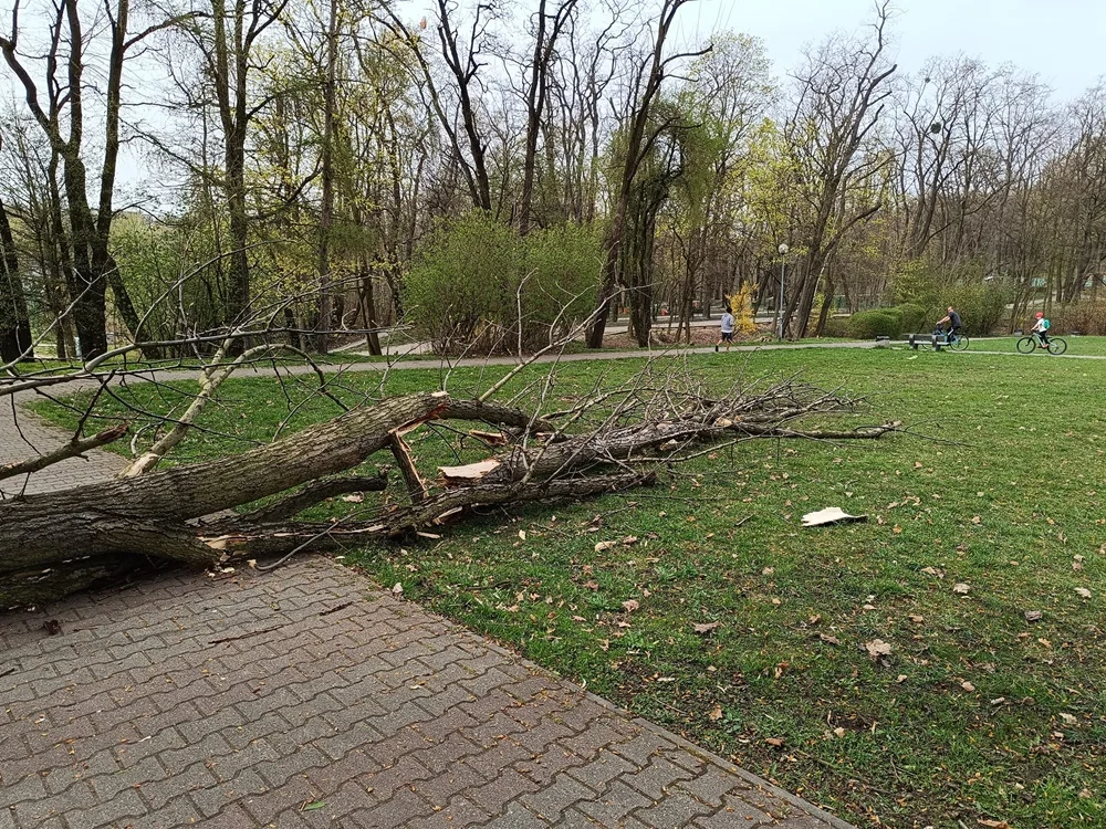 Efekty wichury w niedzielę wielkanocną. Doszło do uszkodzeń samochodów!