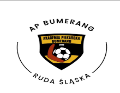 Akademia Piłkarska Bumerang