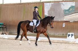 Sportowy Klub Jeździecki Omega