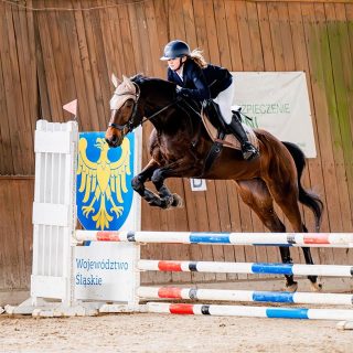 Sportowy Klub Jeździecki Omega