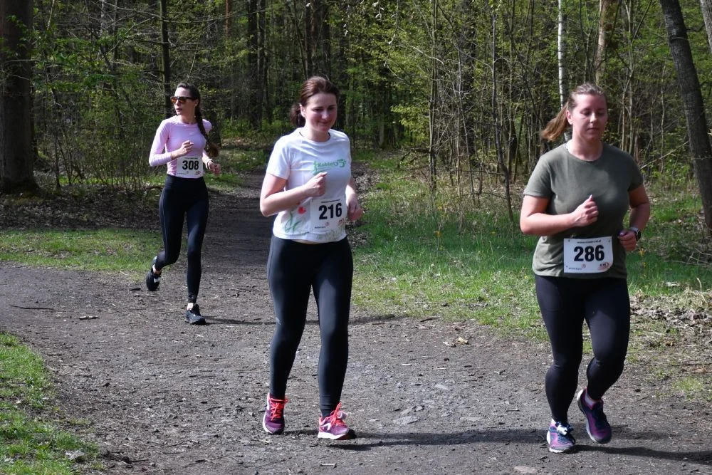 wiewiórka 105