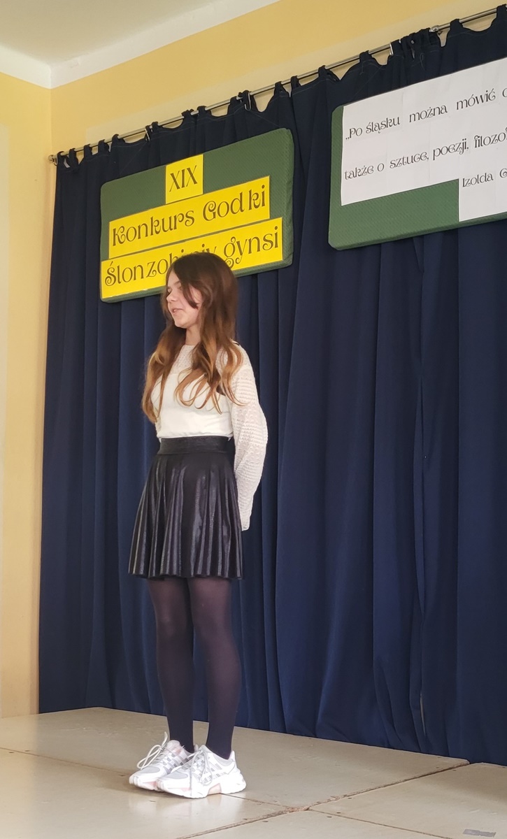 Ślonzoki niy gynsi 18