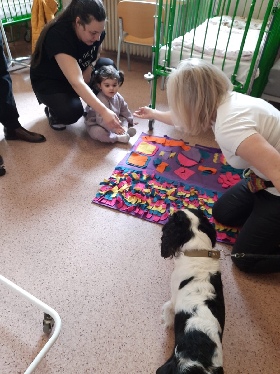 Dogoterapia w rudzkim szpitalu 2