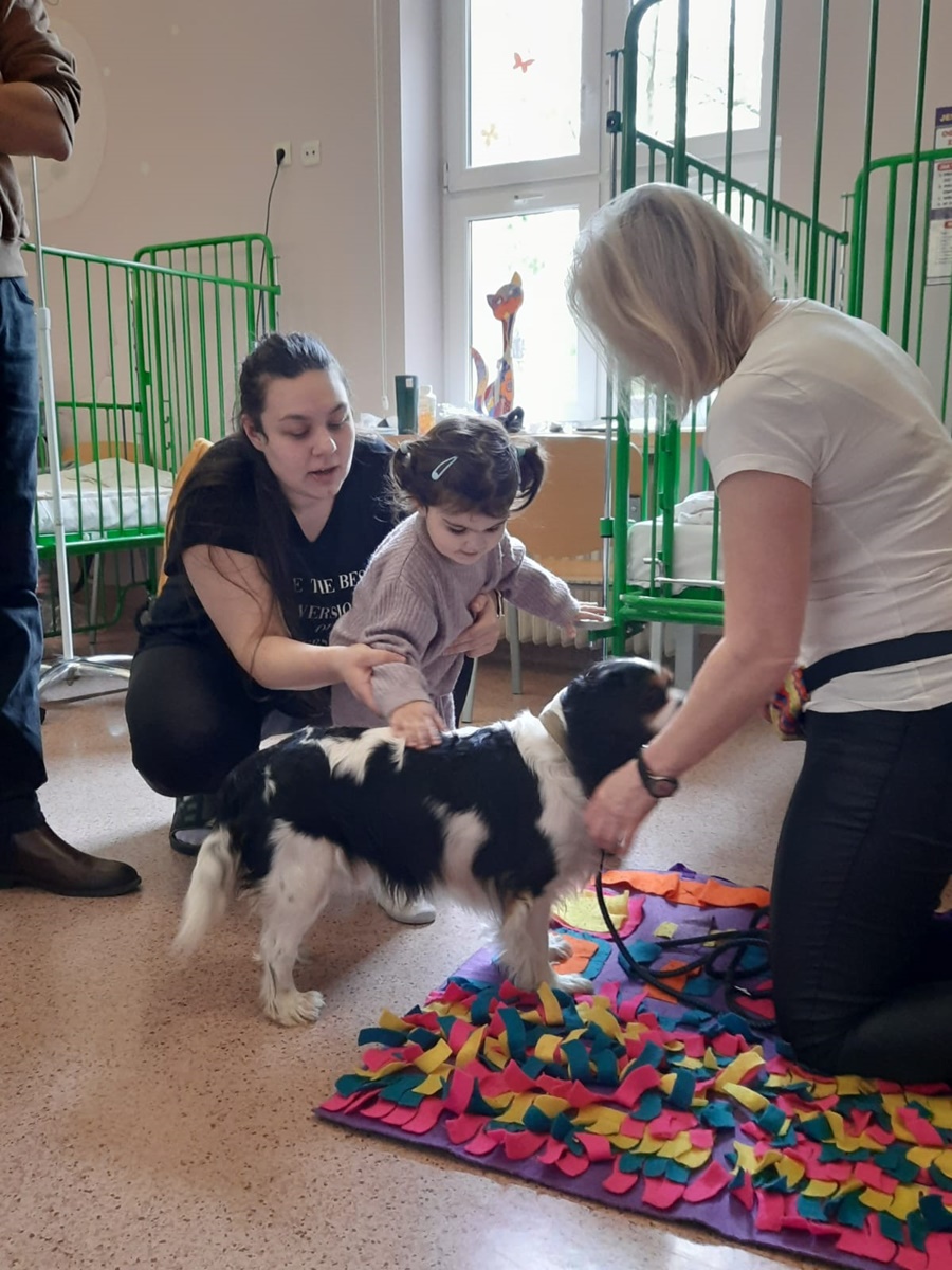 Dogoterapia w rudzkim szpitalu 3