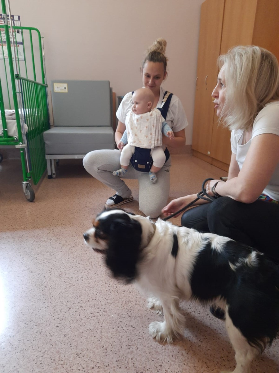 Dogoterapia w rudzkim szpitalu 4