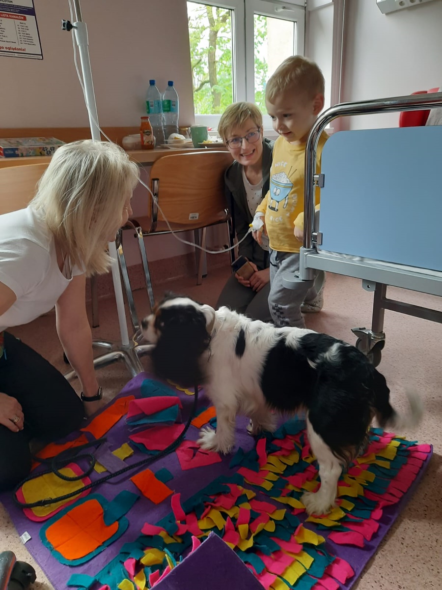 Dogoterapia w rudzkim szpitalu 5