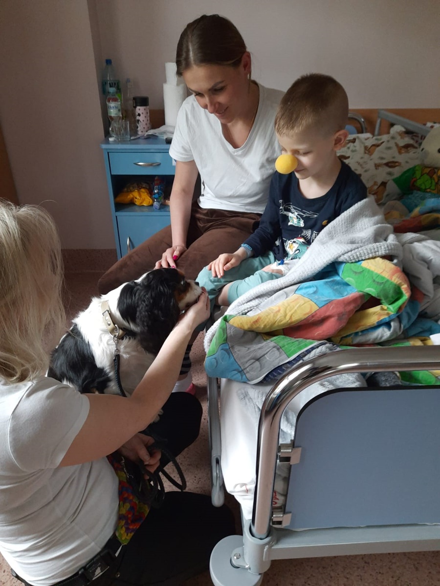 Dogoterapia w rudzkim szpitalu 6