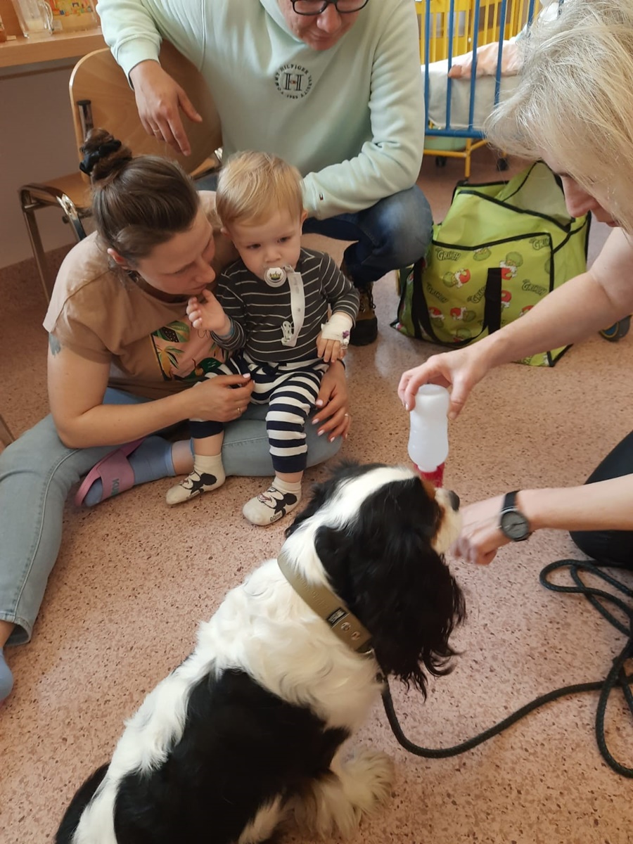 Dogoterapia w rudzkim szpitalu 7