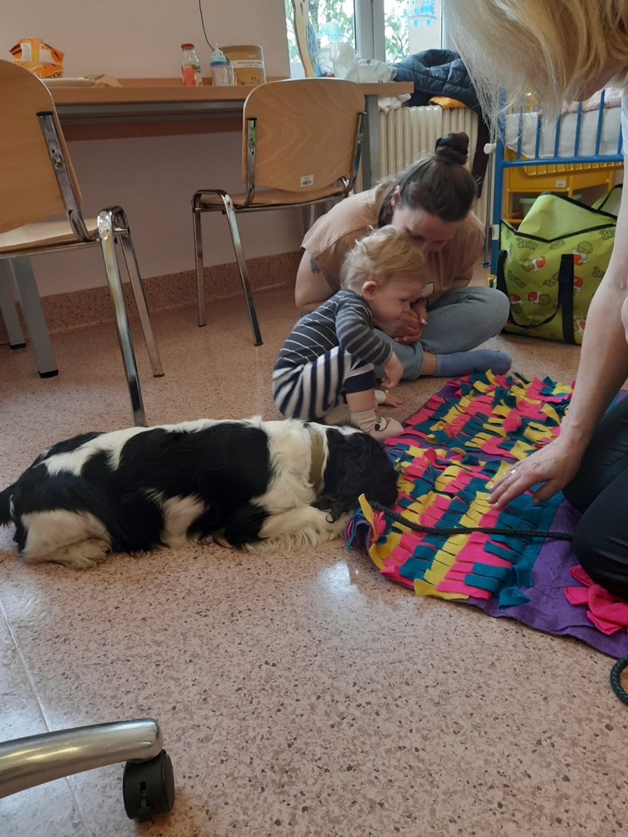 Dogoterapia w rudzkim szpitalu 9