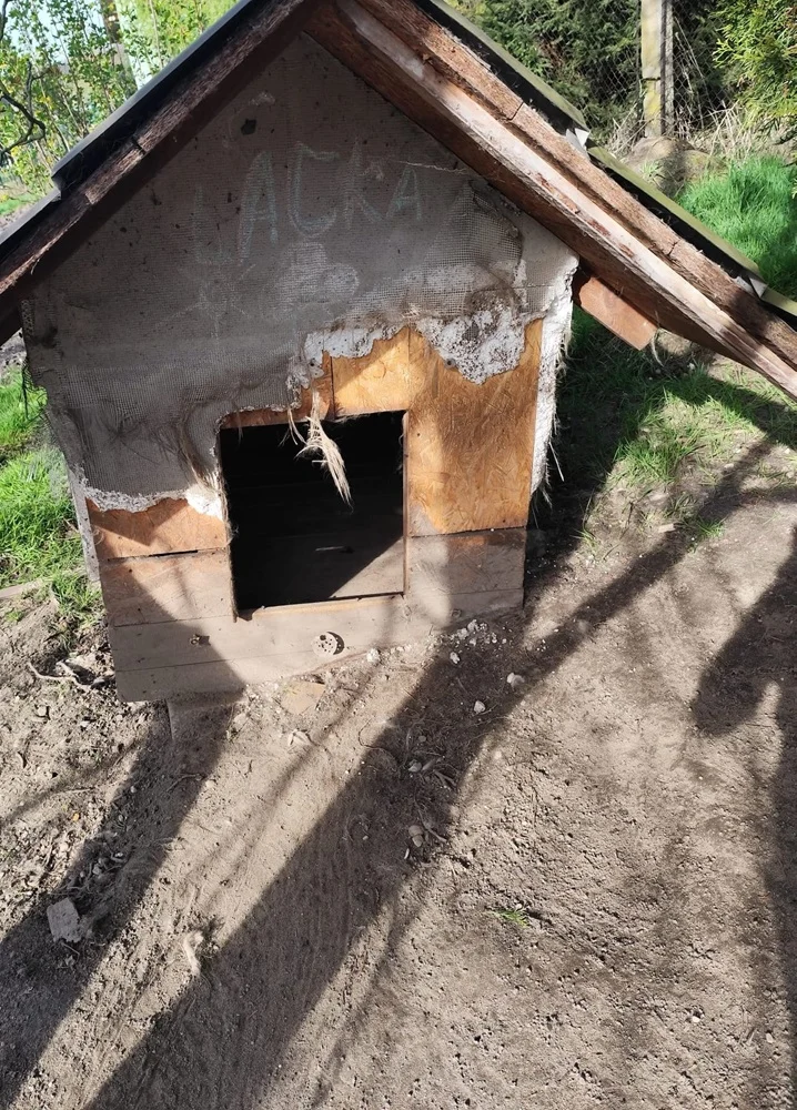 Owczarek kaukaski przykuty do łańcucha: Akt oskarżenia przeciwko mieszkańcowi Orzesza