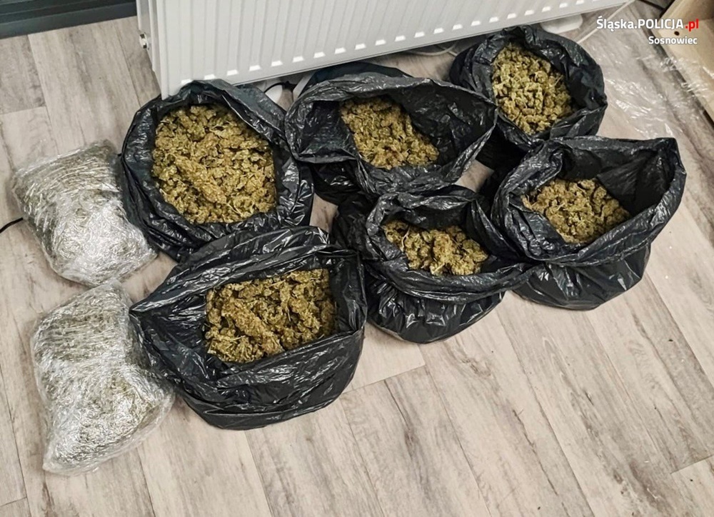 Kolejne uderzenie sosnowieckich kryminalnych w narkobiznes