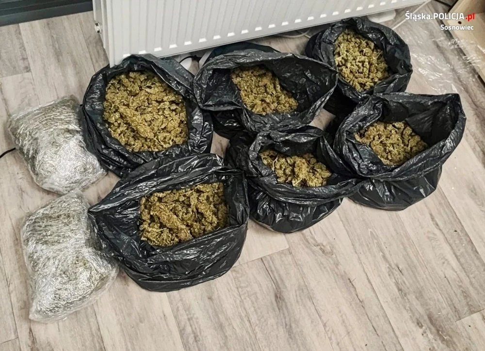 Kolejne uderzenie sosnowieckich kryminalnych w narkobiznes