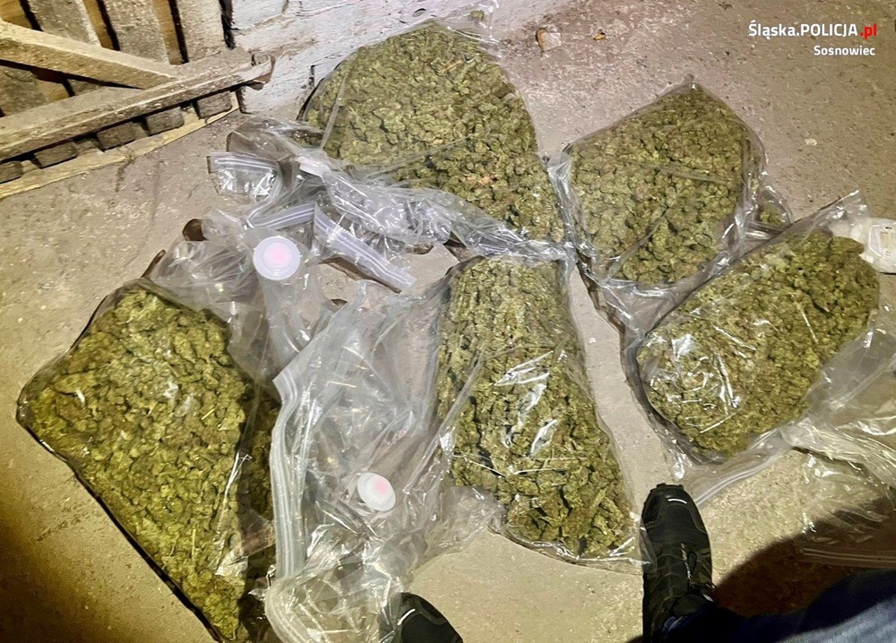 Kolejne uderzenie sosnowieckich kryminalnych w narkobiznes