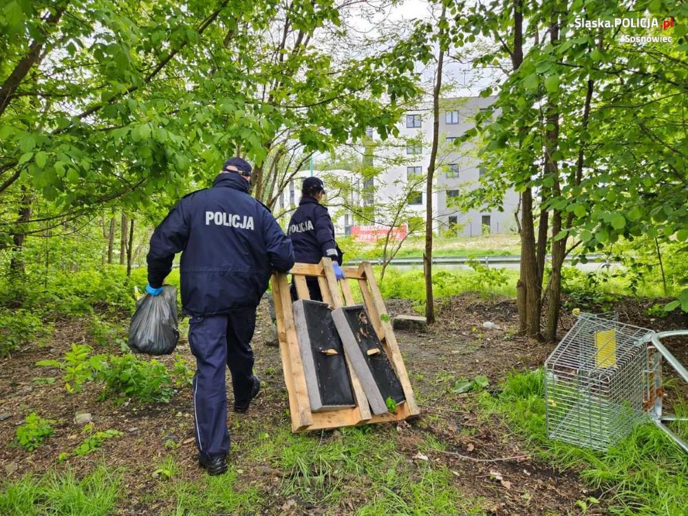 Sosnowieccy policjanci wspólnie z uczniami szkół miejskich sprzątali tereny zielone