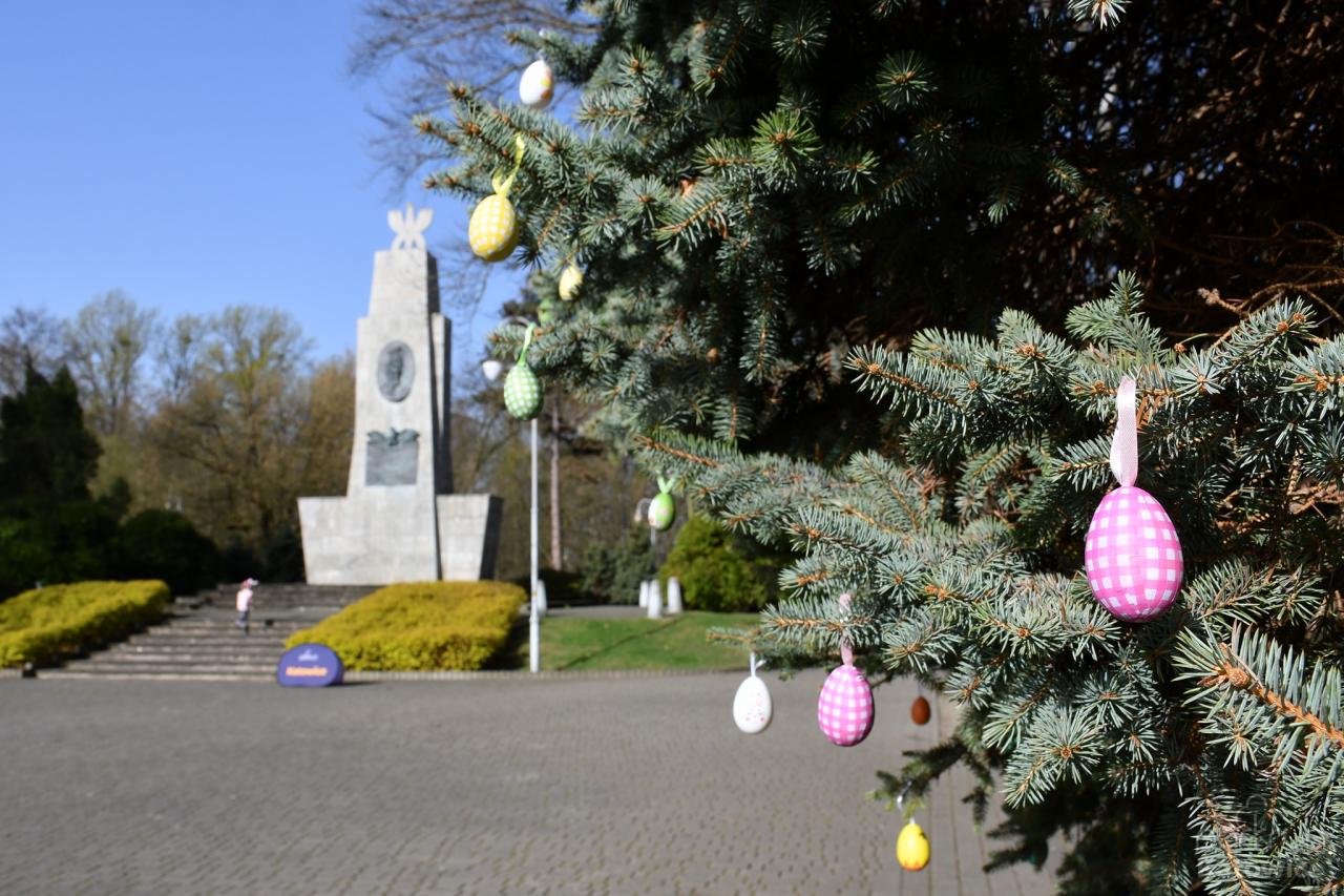 Wielkanocny parkrun 40