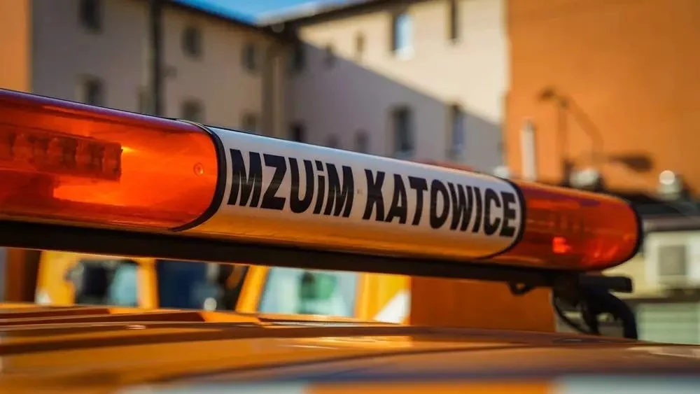 Nowe pasy, linie, symbole. MZUiM rozpoczyna odmalowywanie oznakowania poziomego