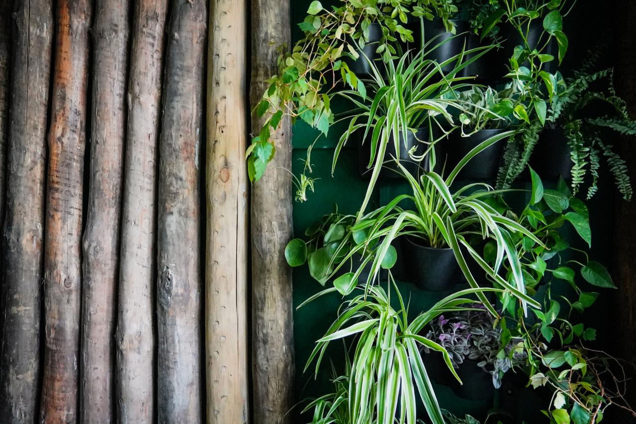 Nowa inicjatywa Społecznego Ministerstwa ds. Samotności 5