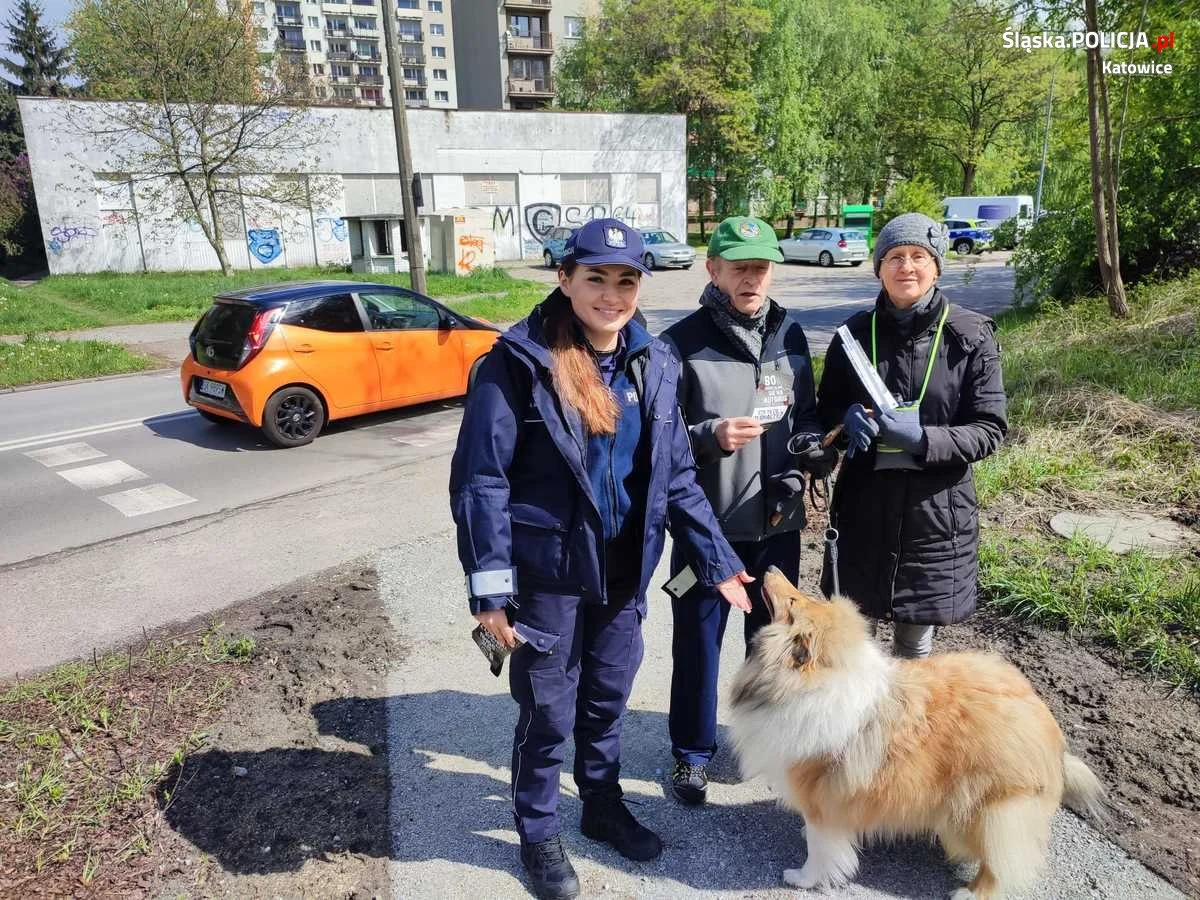 Przed każdym przejściem przez ulicę zachowaj czujność!