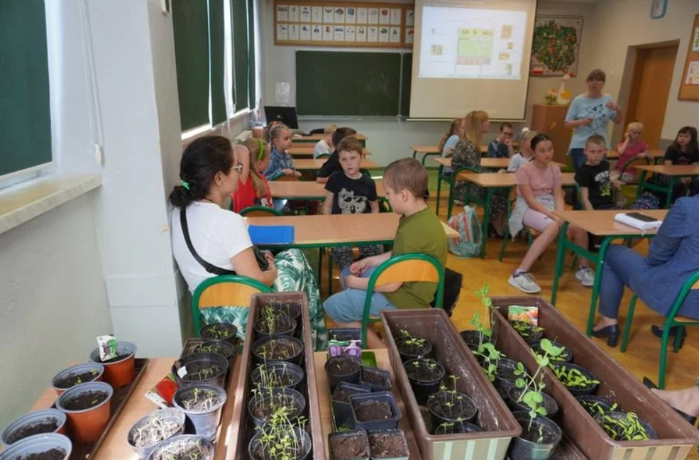 Efektywność energetyczna budynków SP nr 4 i Technikum nr 1 27