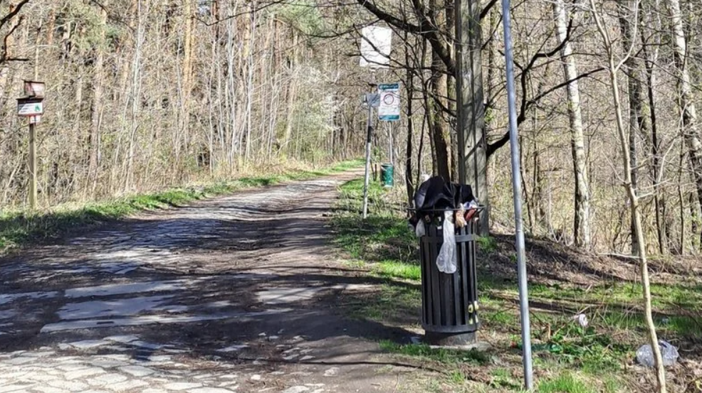 Żory: Weź udział w akcji sprzątania Gichty z okazji Dnia Ziemi!