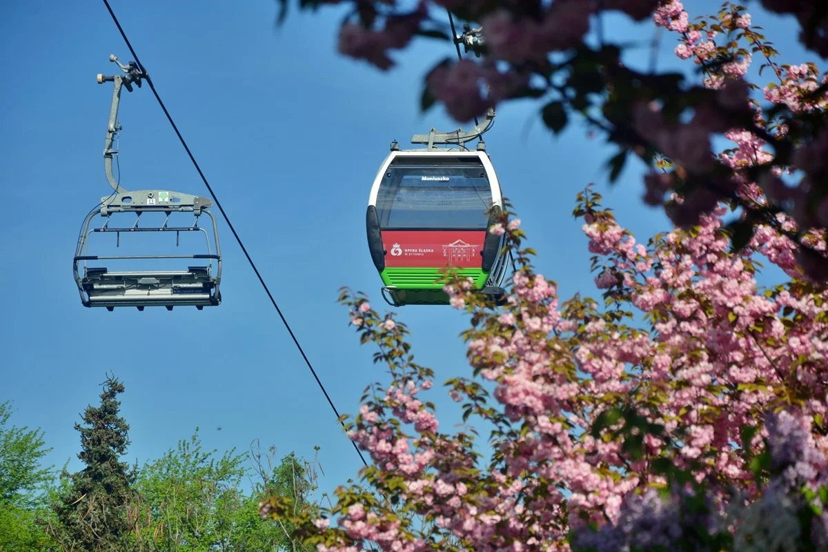 Wiosna zawitała do Parku Śląskiego! Zobaczcie, jak jest pięknie! [ZDJĘCIA]