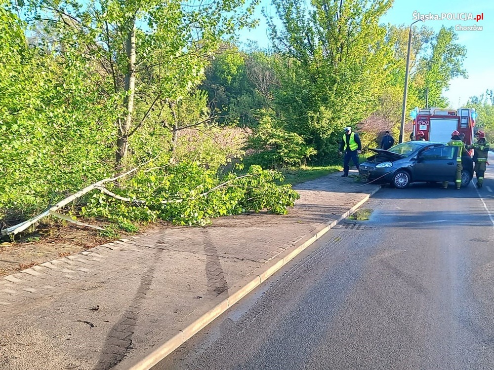 Podsumowanie działań "Prędkość" w Chorzowie