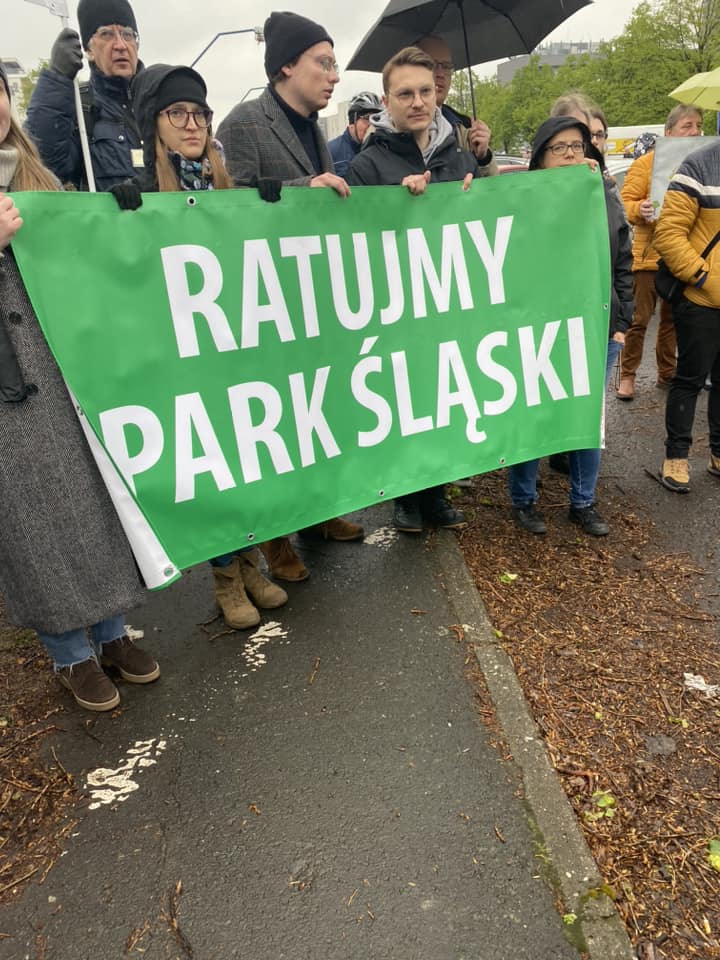 Wielka wycinka drzew przy Parku Śląskim. Mieszkańcy protestują