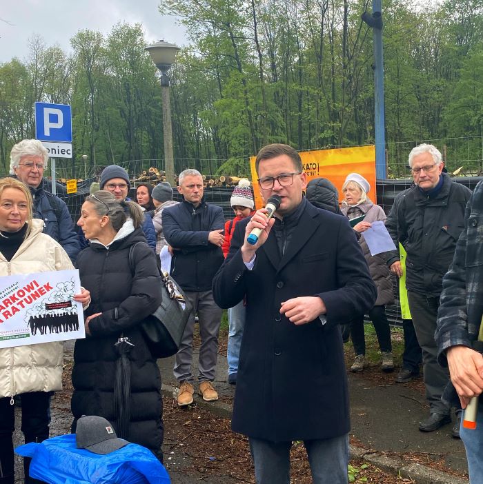 Wielka wycinka drzew przy Parku Śląskim. Mieszkańcy protestują