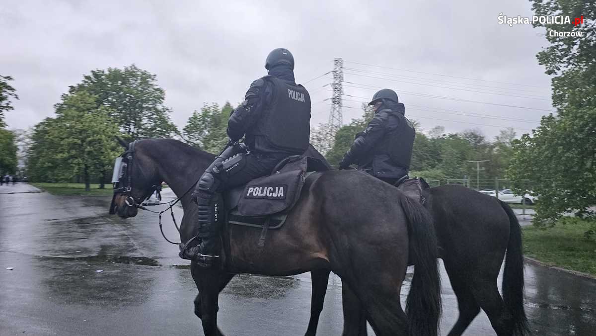 Policjanci dbali o bezpieczeństwo kibiców podczas meczu Ruchu Chorzów i Widzewa Łódź