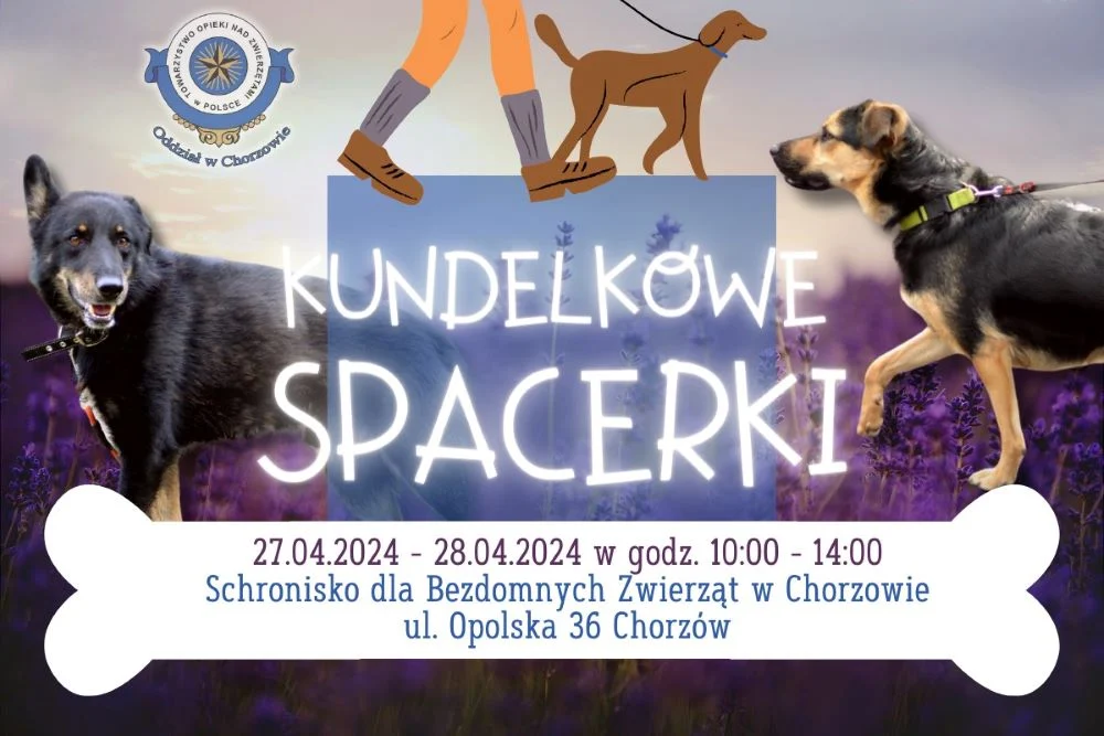 Kundelkowe spacerki już w najbliższy weekend!
