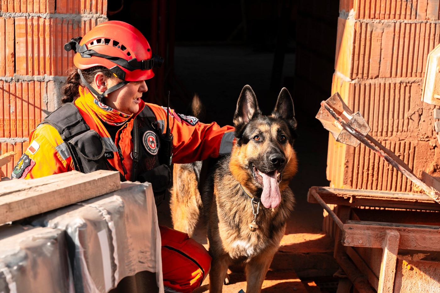 Teren budowy osiedla w Zabrzu stał się poligonem dla Zespołów Ratowniczych i psów